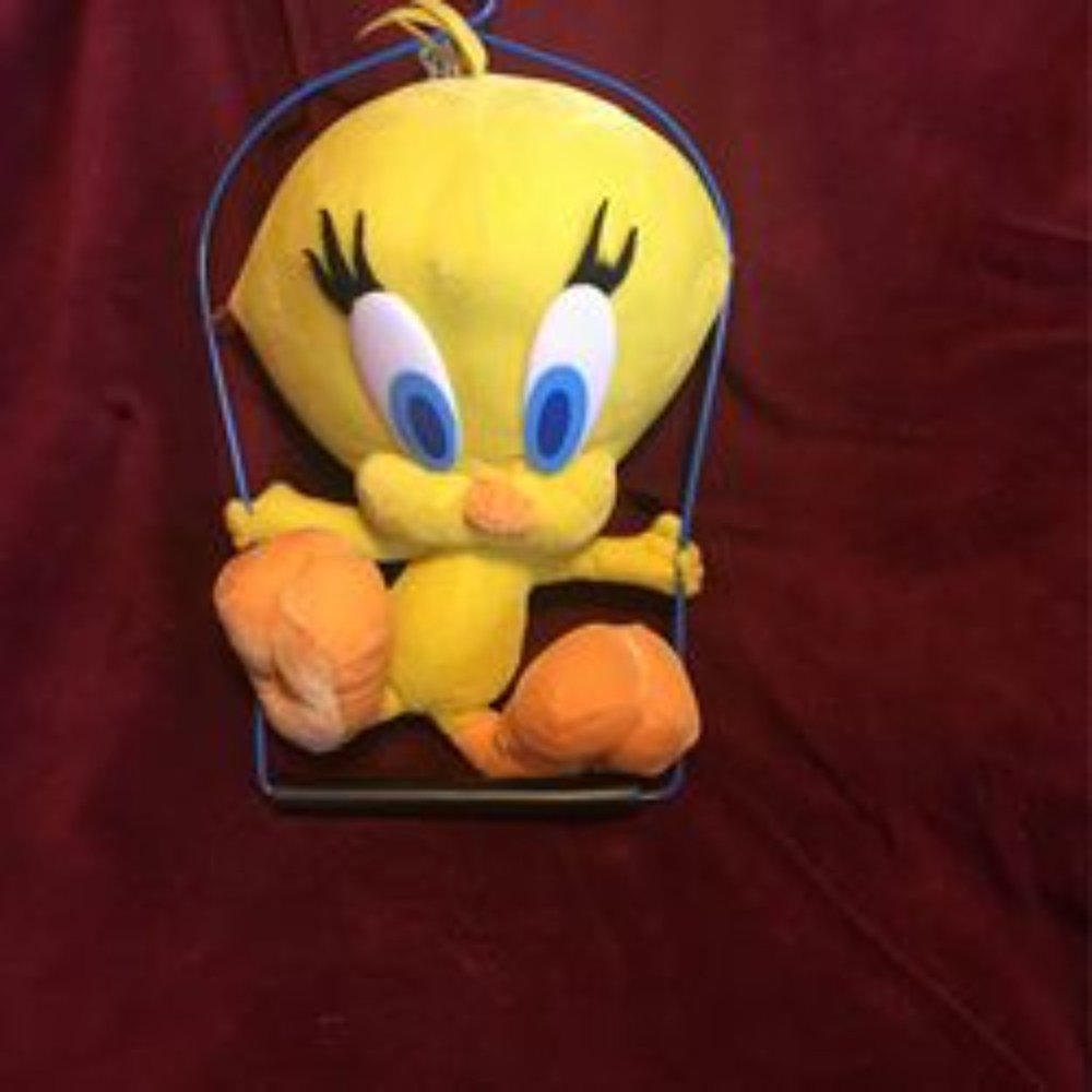Six Flags Warner Brothers Tweetie Bird On A Swing